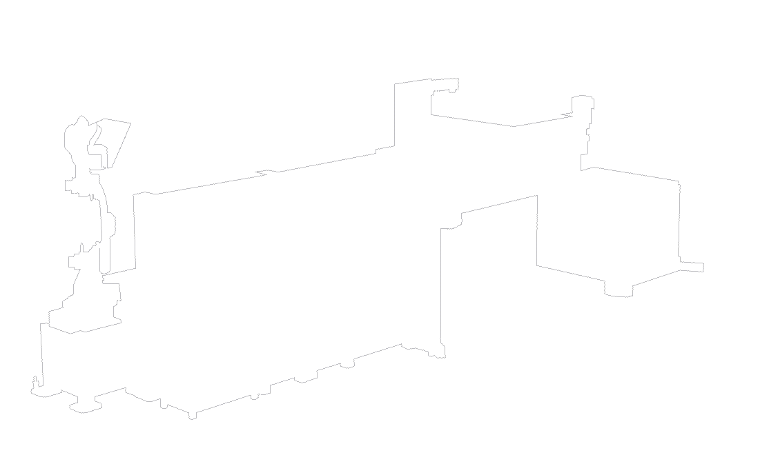 First Section
